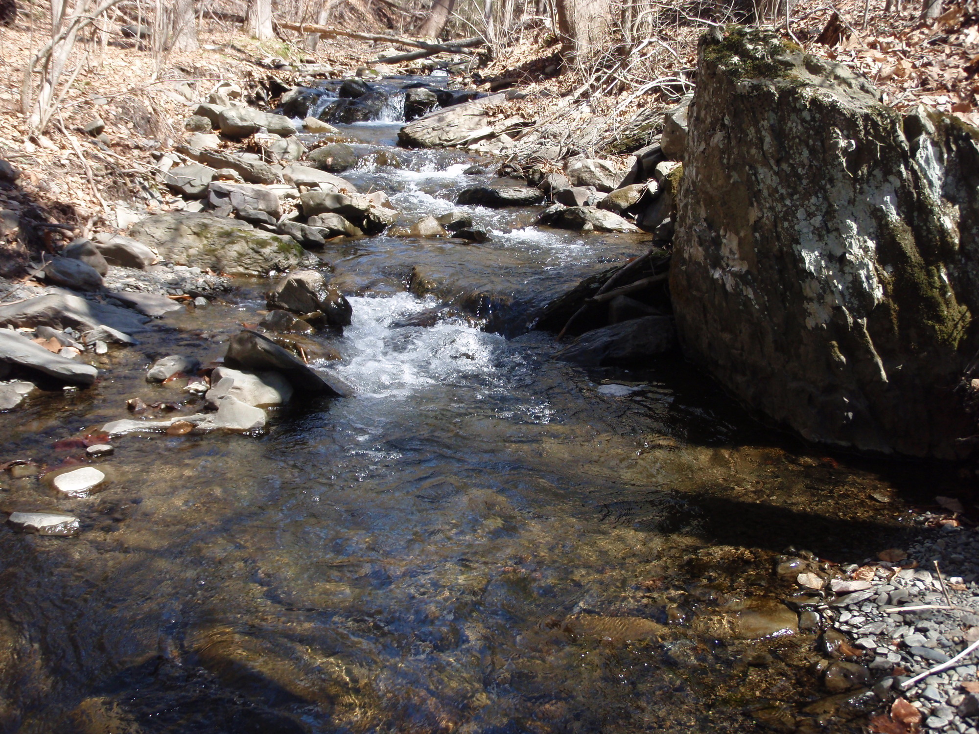 Site visit photo showing the upstream (UP) or downstream (DN) view of a wadeable stream reach taken during benthic macroinvertebrate monitoring at Delaware Water Gap National Recreation Area.