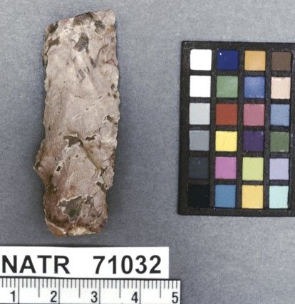 NATR   71032 -- Untyped projectile point