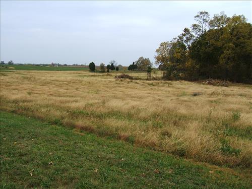 East Woods reforestation area at Antietam N.B.