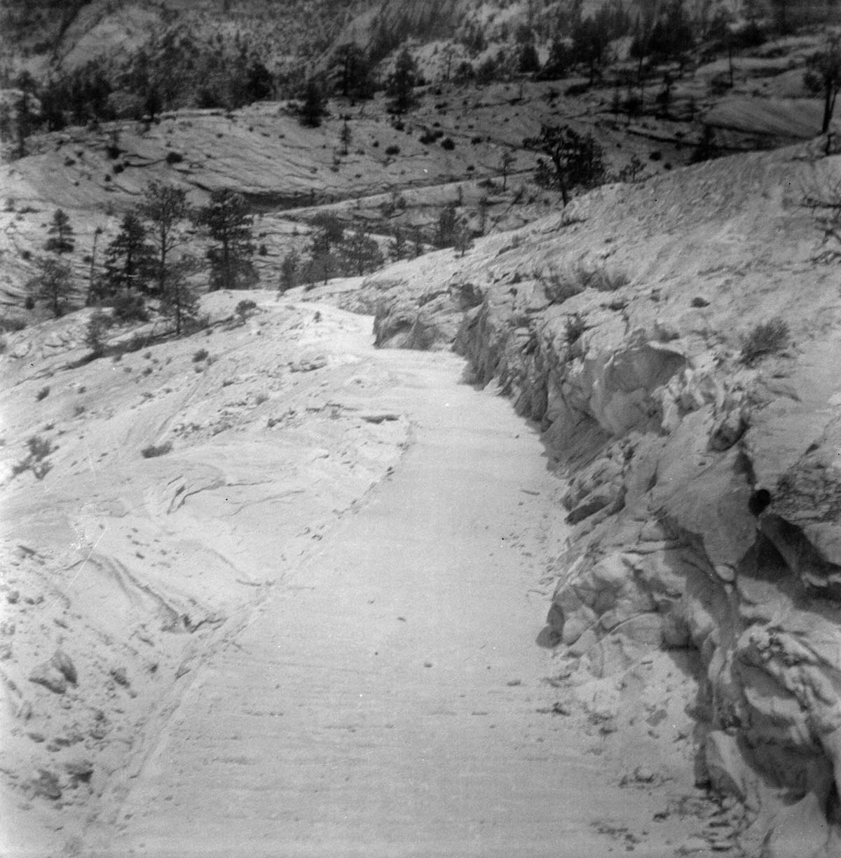 General view of the East Rim trail.