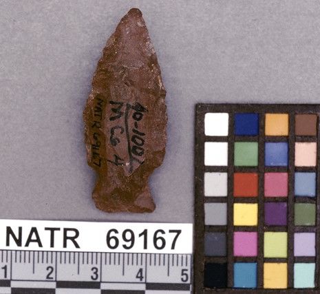 NATR   69167 -- Untyped projectile point