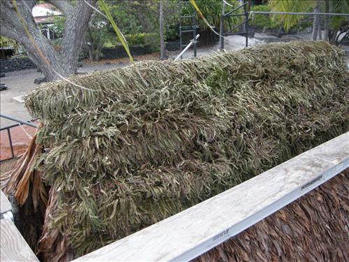 Rebuild Hale o Keawe Scale Model at Pu'uhonua o Honaunau National Historical Park in Spring 2010