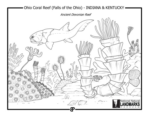 Line drawing of an ancient Devonian reef ecosystem with prehistoric coral and organisms and program logo.