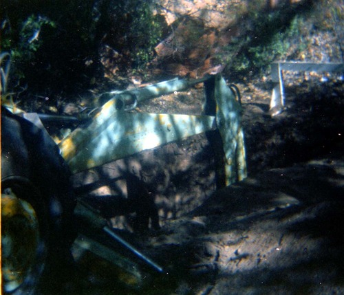 NPS personnel working on trail in Zion.