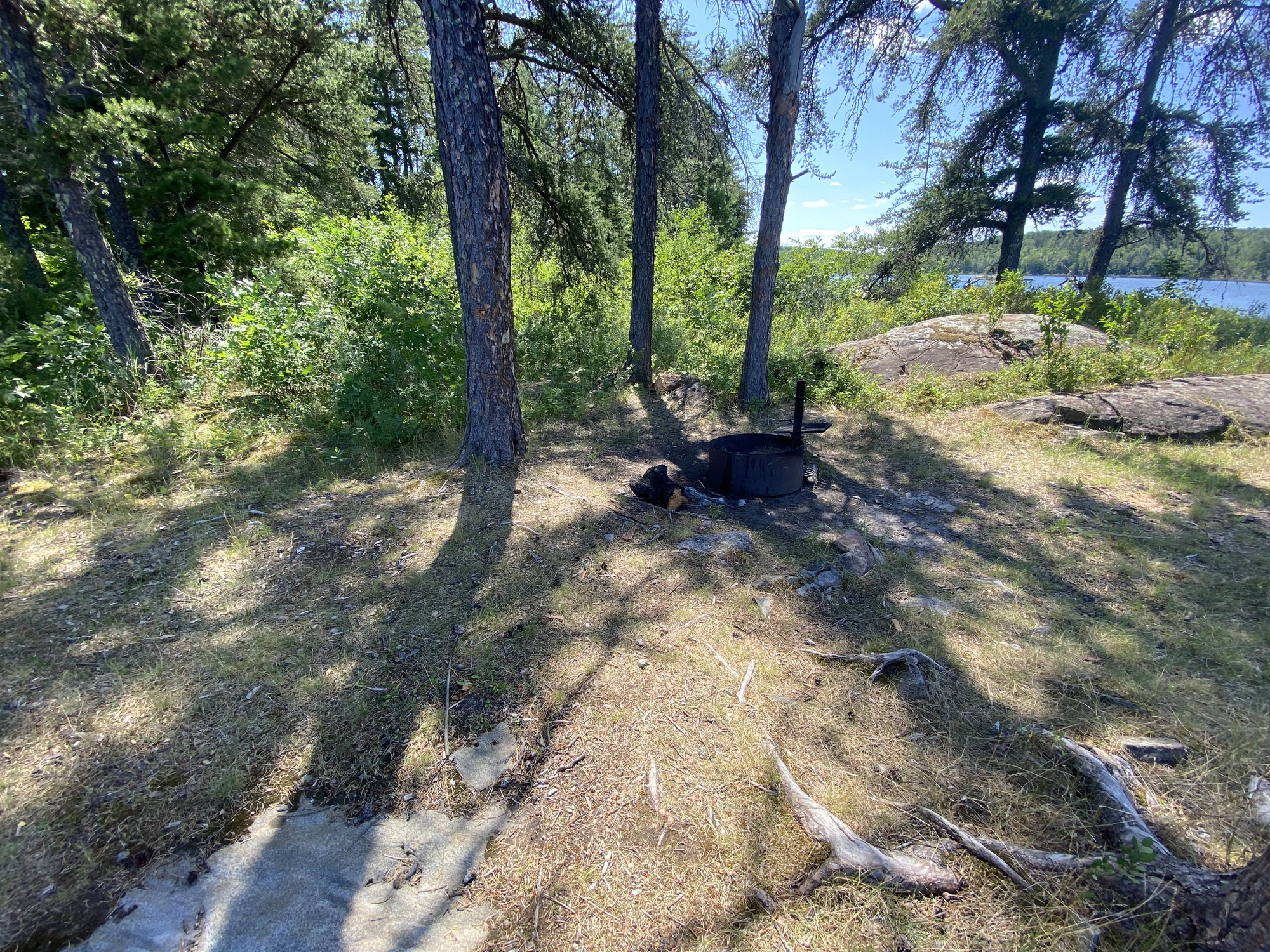 View of houseboat site core and fire ring on relatively flat ground with green shrubbery and trees in background.