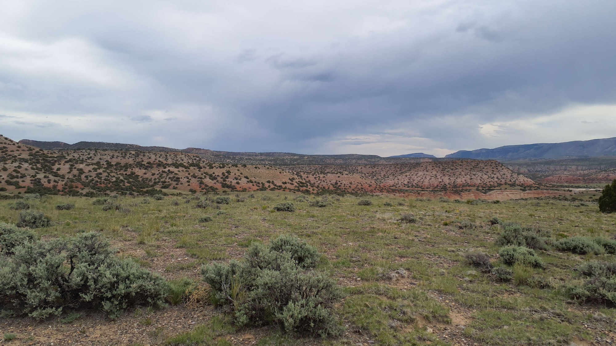 Photo of the landscape and upland vegetation in Bighorn Canyon National Recreation Area.