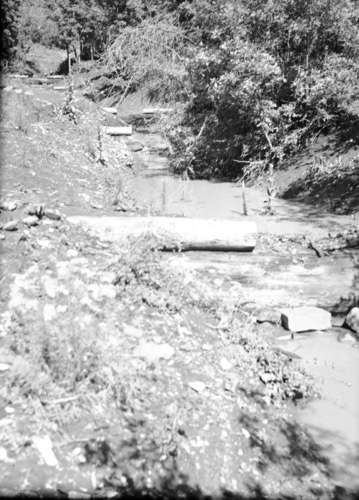 Potato Hollow check dams.