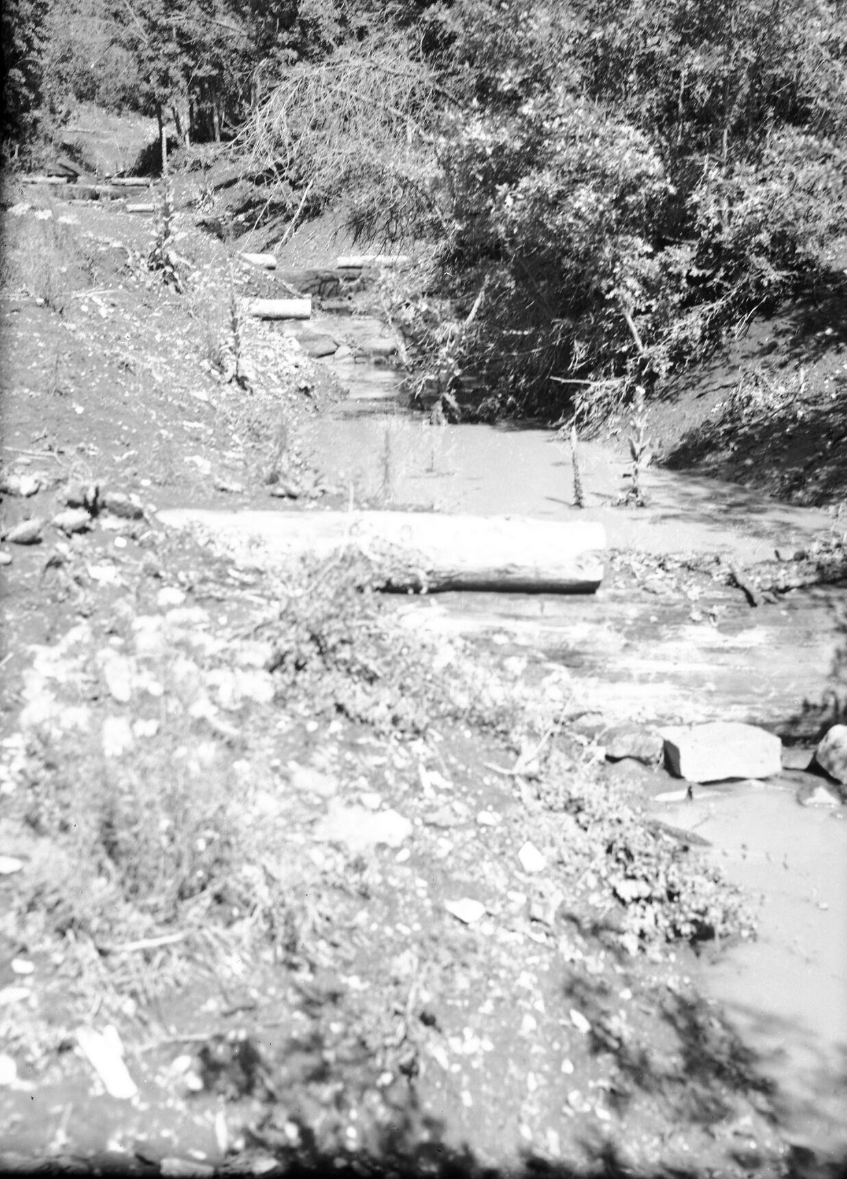 Potato Hollow check dams.