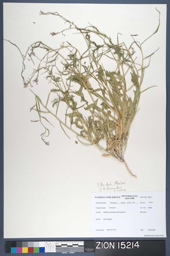 Herbarium Specimen Sheet 15214