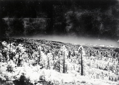Infared scenic. Sopied from Art Holmes album (NPS employee). Copied September 1983 by Michael Dixon.