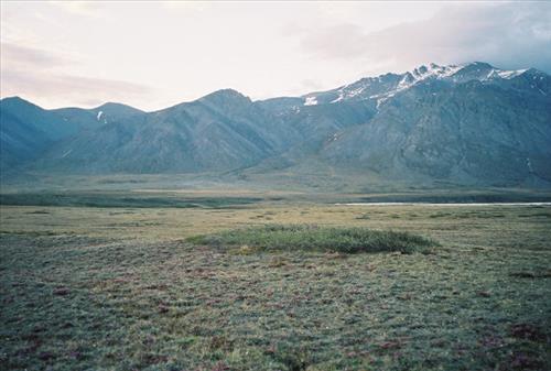 6 Gates of the Arctic National Park and Preserve Itkillik Birds Survey June 2006