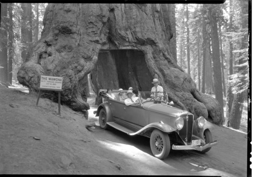 Rear seat: Mrs. C.G. Thomson, Mrs. Barry, Mrs Ewing. Front Seat: Col. C.G. Thomson & Frank Ewing.