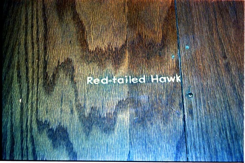 Color Photos of the old visitor center exhibits.