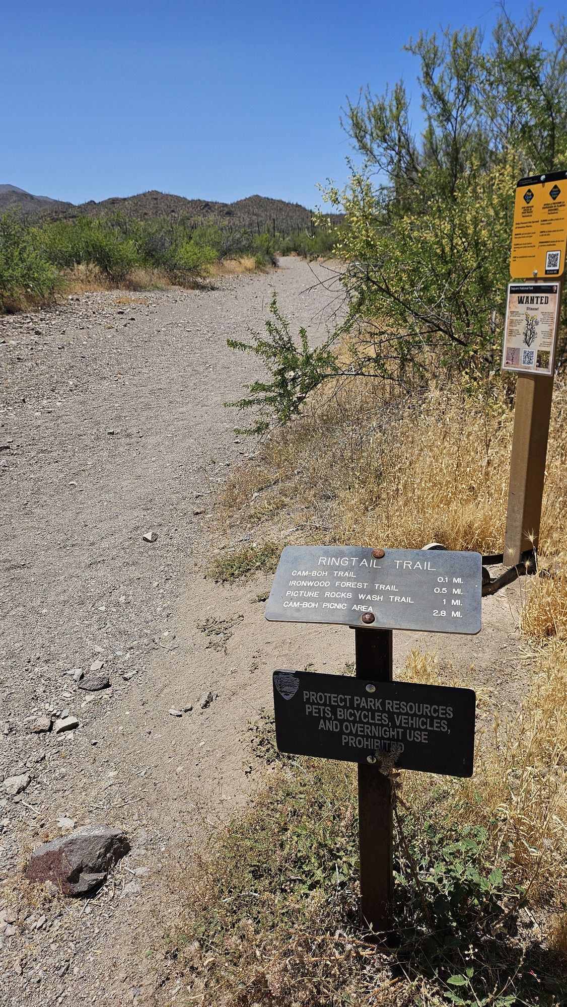 Vertical image. The majority of the image shows a gravel dry riverbed trail in the left of the view, extending of into the far distance. Directly in front of the viewer, in the bottom right, is a small metal trailhead sign. Just behind it is a boot brush station.