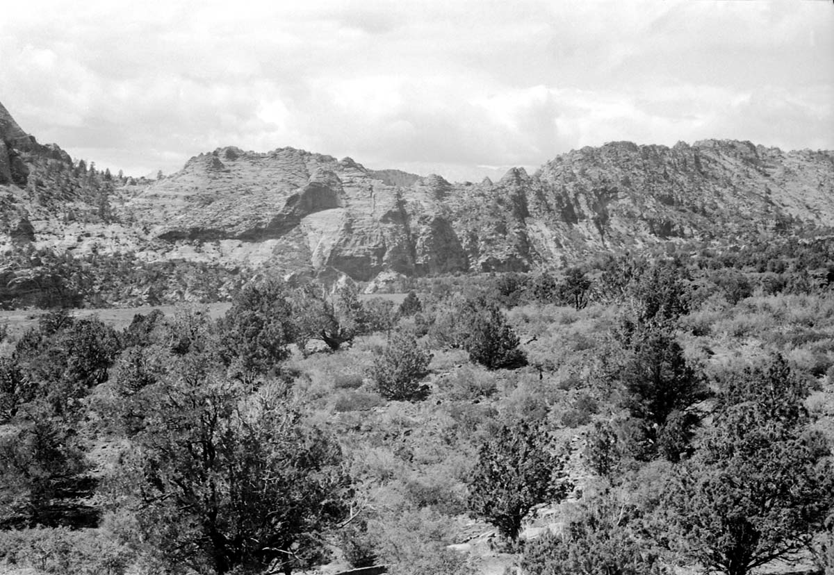 BW photo of the 1937 grazing study 35MM.