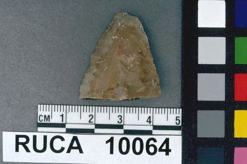 RUCA   10064 -- Point, Projectile