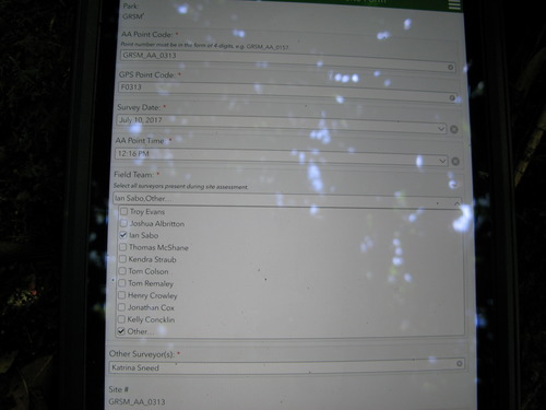 GRSM Accuracy Assessment. Plot Code: GRSM_AA_0313_1