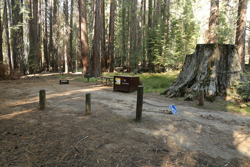 Campsite with wheelchair access