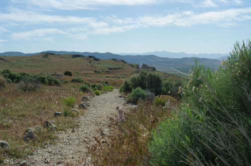 A trail through sagebrush with mountains in the distance. 
