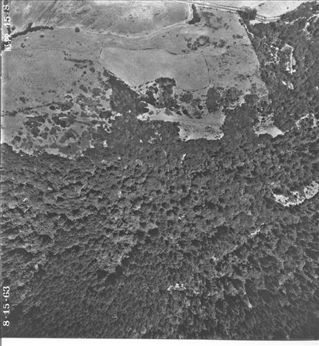 Point Reyes National Seashore Aerial Survey, 1963 Part 3 of 4