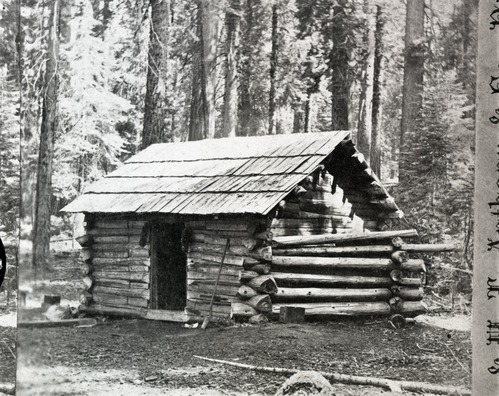 Detail of L. Smaus stereo (RL-16,502). Caption: "38. Clark's Rest. Mariposa Grove." Copy Neg: July 1985 by Michael Dixon