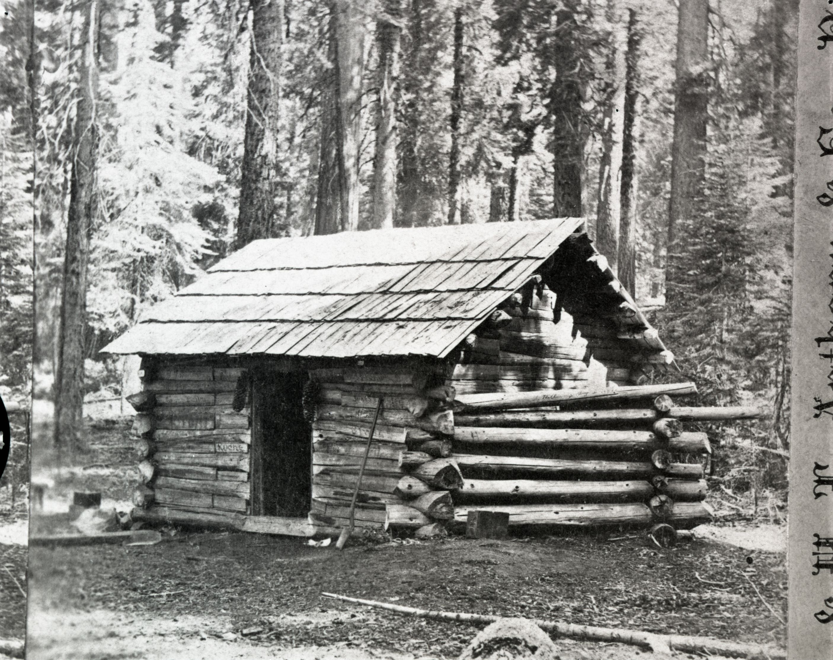 Detail of L. Smaus stereo (RL-16,502). Caption: "38. Clark's Rest. Mariposa Grove." Copy Neg: July 1985 by Michael Dixon