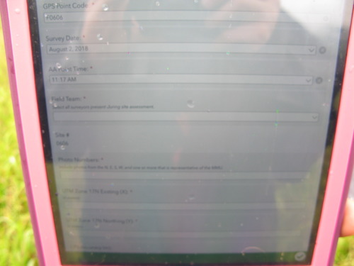 Plot Code: GRSM_AA_0606_1