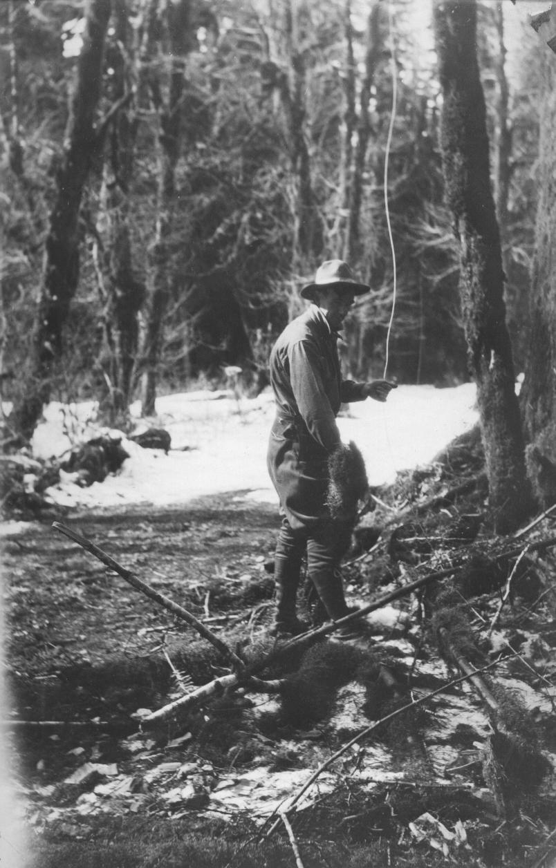 Telephone; Classes: Communication Telephones