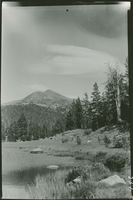 hfca_1607_iva_001_01_028_237a_a. Habitat of Yosemite Toad, foot of Mt. Gibbs. Locality: Dana Meadows, Yosemite National Park.. Negative #: 237