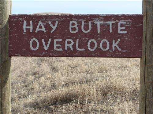 BADL Wood Information Signs - Secondary Roads