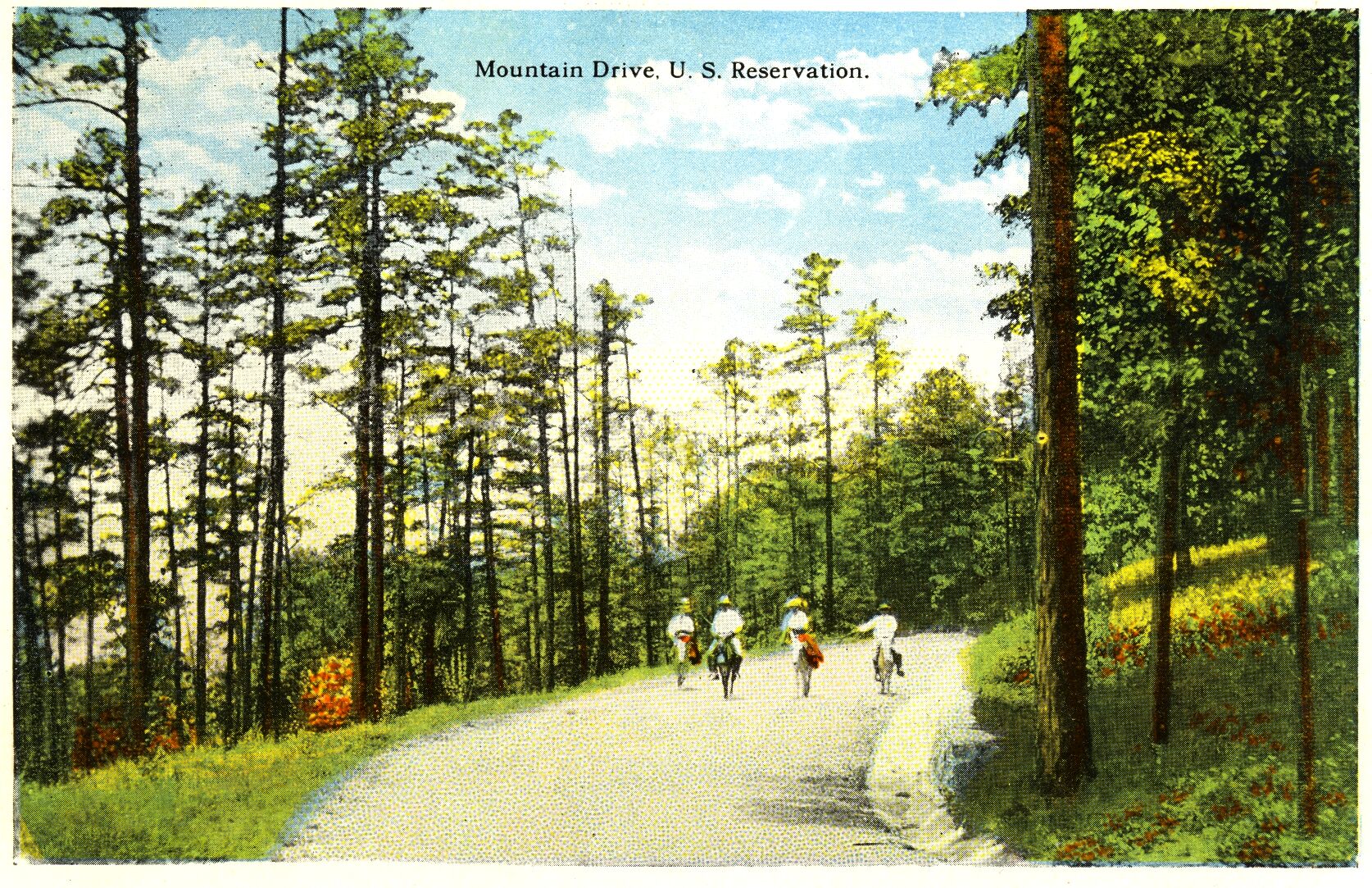 Postcard - Mountain Drive