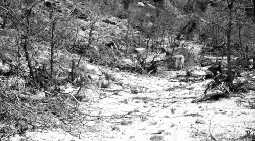 Rock fall crater in Birch Creek Canyon.