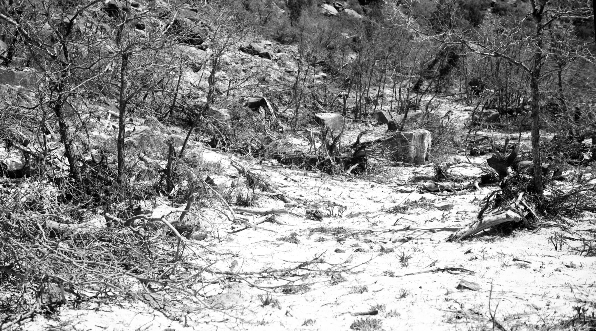 Rock fall crater in Birch Creek Canyon.