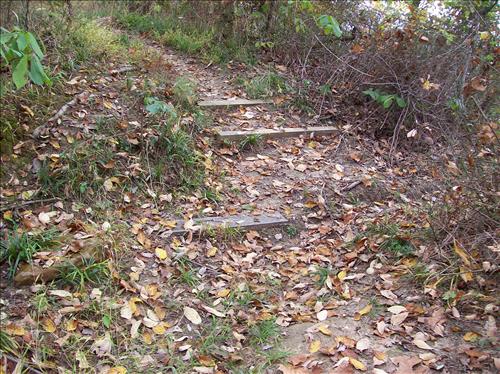 FOWA-Existing Conditions at Fort Washington Park, October 15, 2008