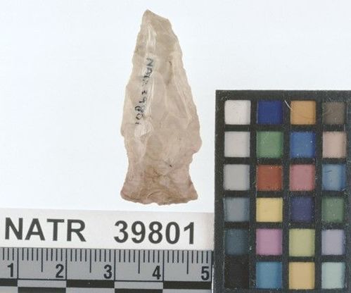 NATR   39801 -- Lowe Cluster projectile point