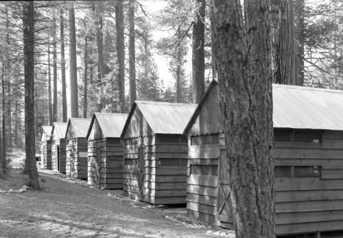 New houses on Section 35 at Wawona.