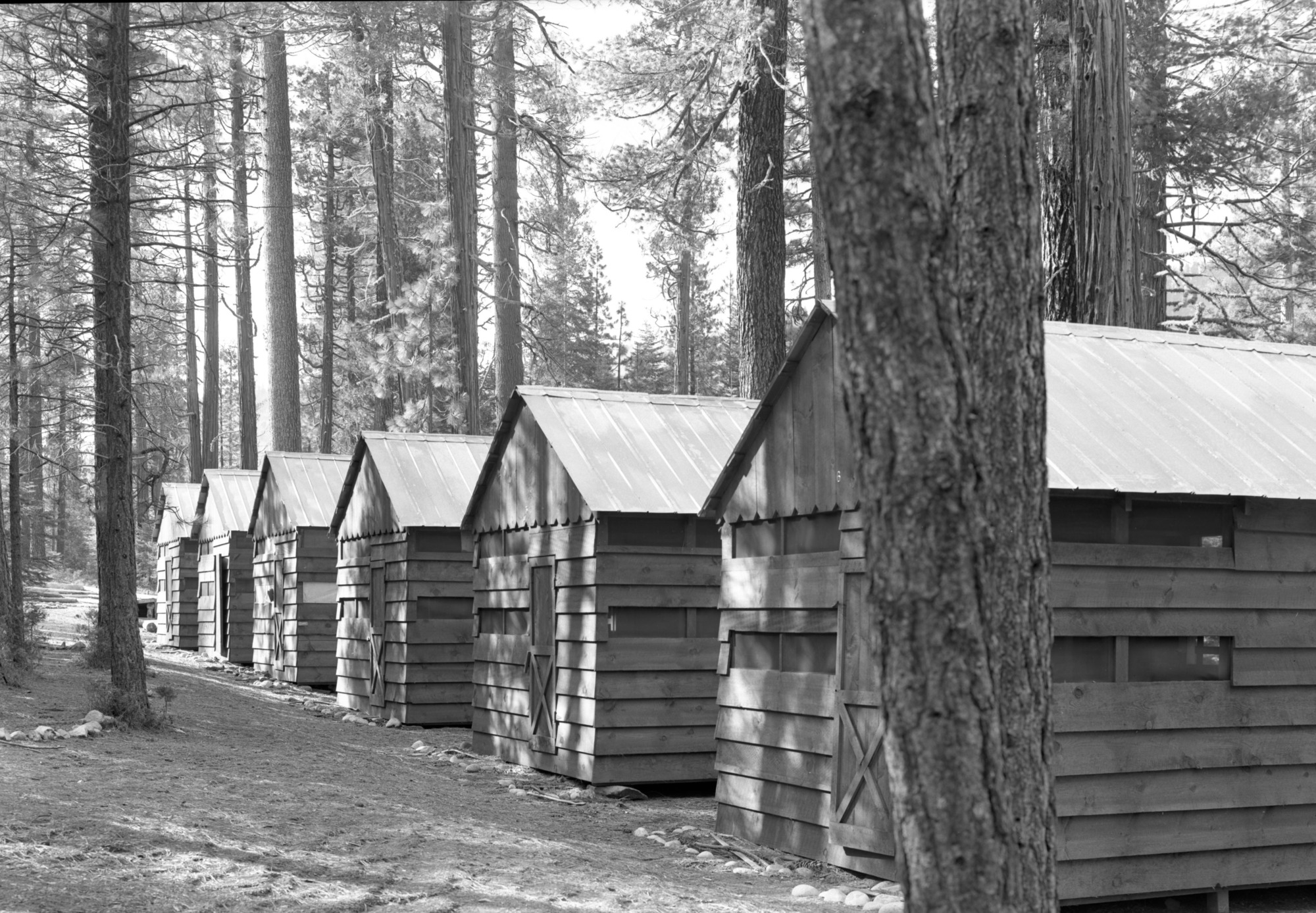 New houses on Section 35 at Wawona.
