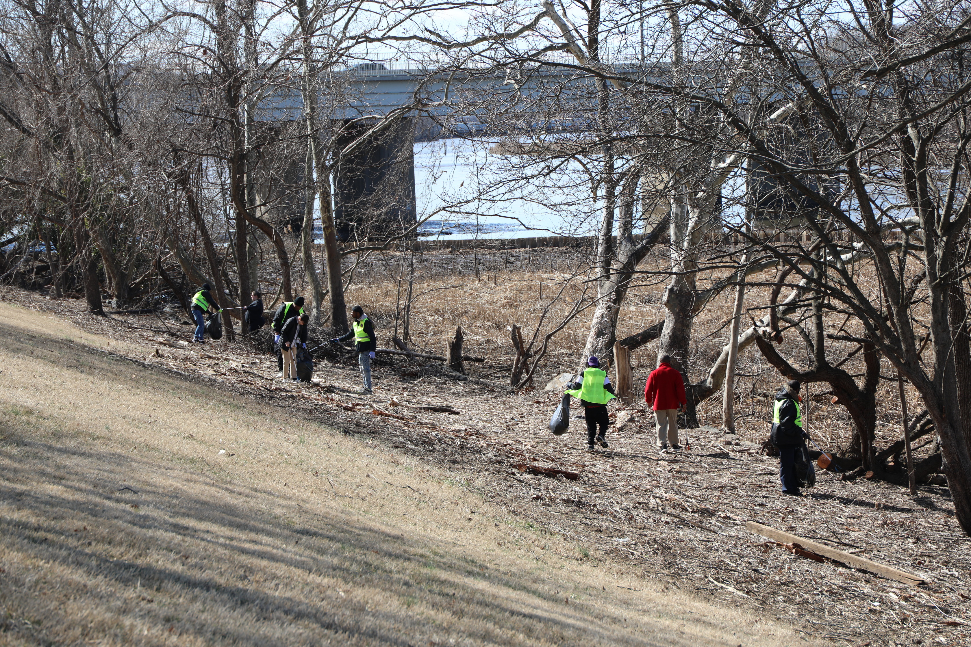 A group of about eight people are engaged in a clean-up effort on a sloping, dry, and sparsely vegetated hillside near a body of water. Most individuals are wearing bright yellow-green reflective vests, and some are carrying black garbage bags, as they walk through the bare trees and brush. In the background, a large bridge spans across what appears to be a river or lake. The overall scene suggests a cold or winter day due to the lack of foliage on the trees.