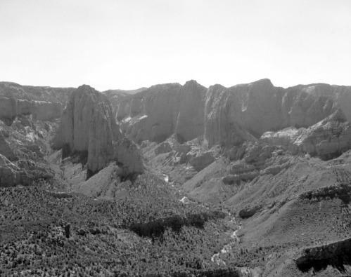 Finger canyons of the Kolob on Taylor Creek, northwest corner of the park.