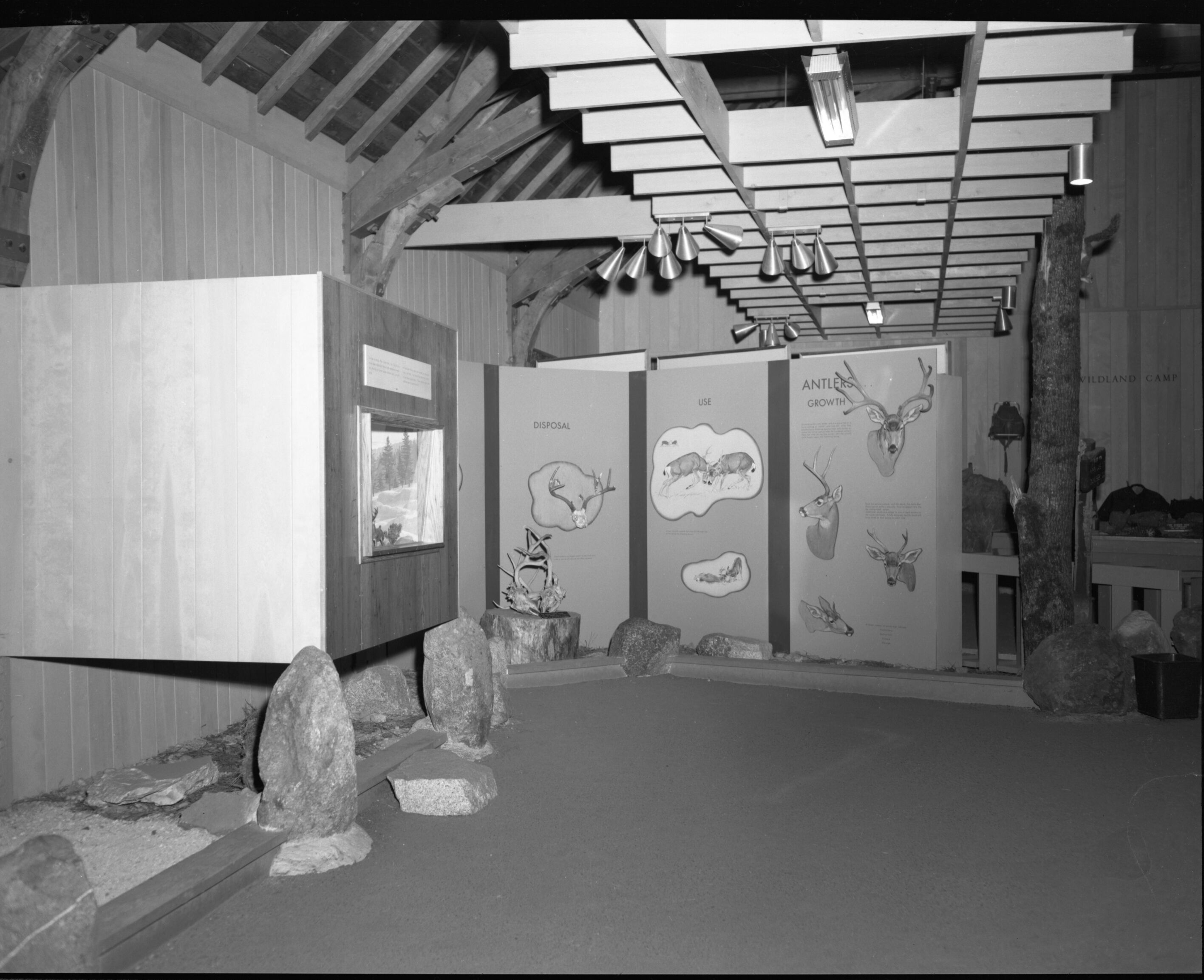 View From A-V Room to Antlers Area