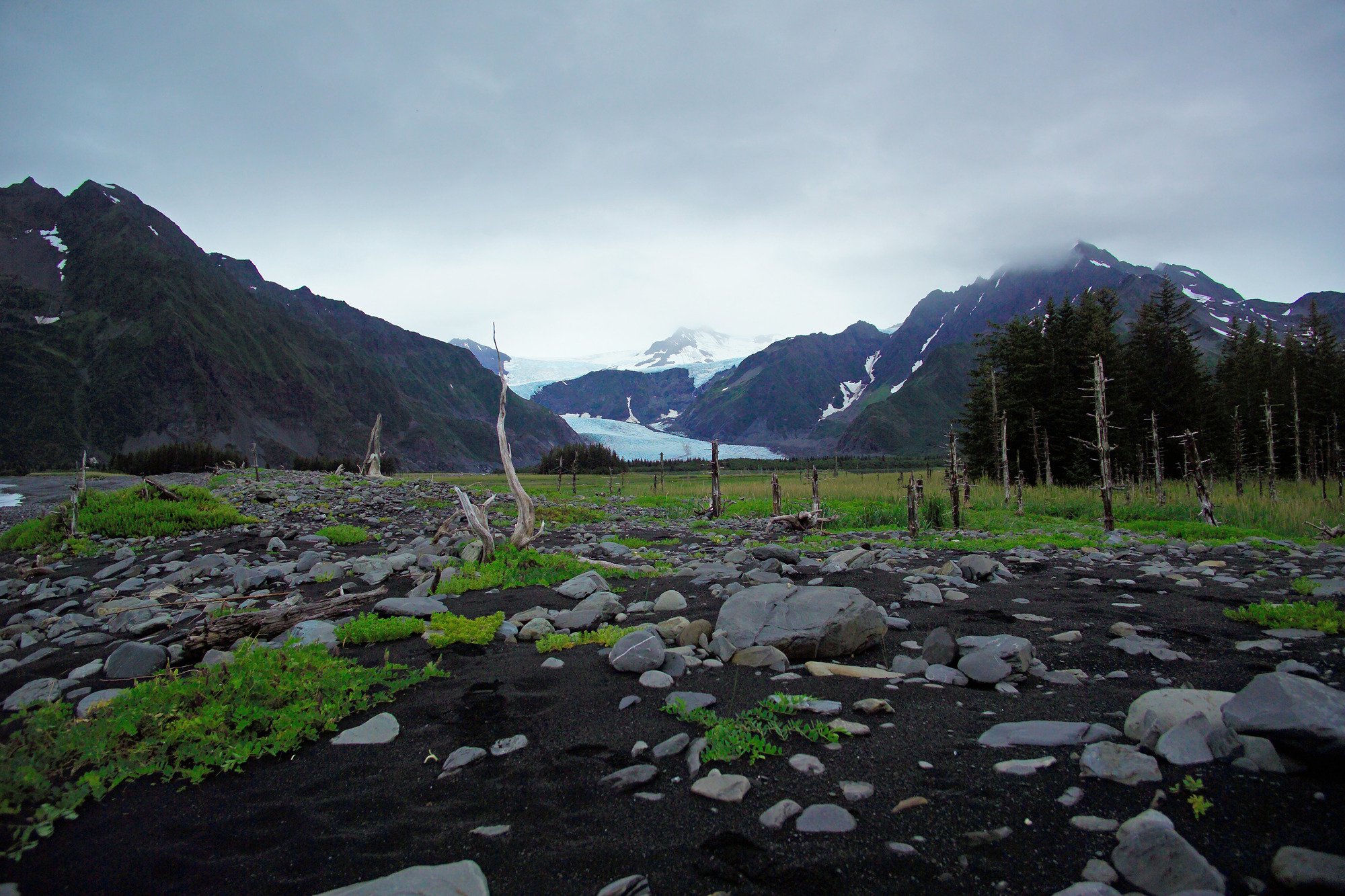 Beach area near Pedersen Glacier 2005