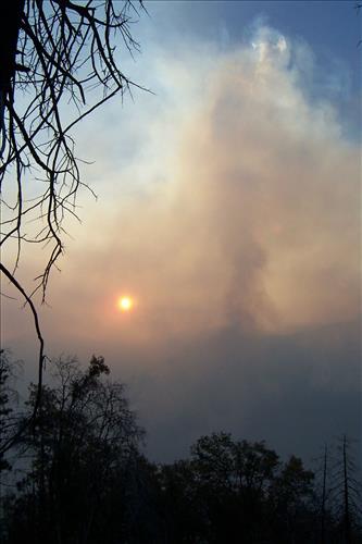 Smoke columns and smoke dispersal patterns from Tar Gap Prescribed Fire, Sequoia and Kings Canyon National Parks, fall 2002
