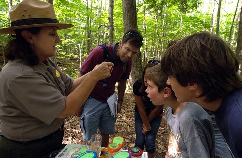 Staffing the aquatic insect station at Family Fun Day in July