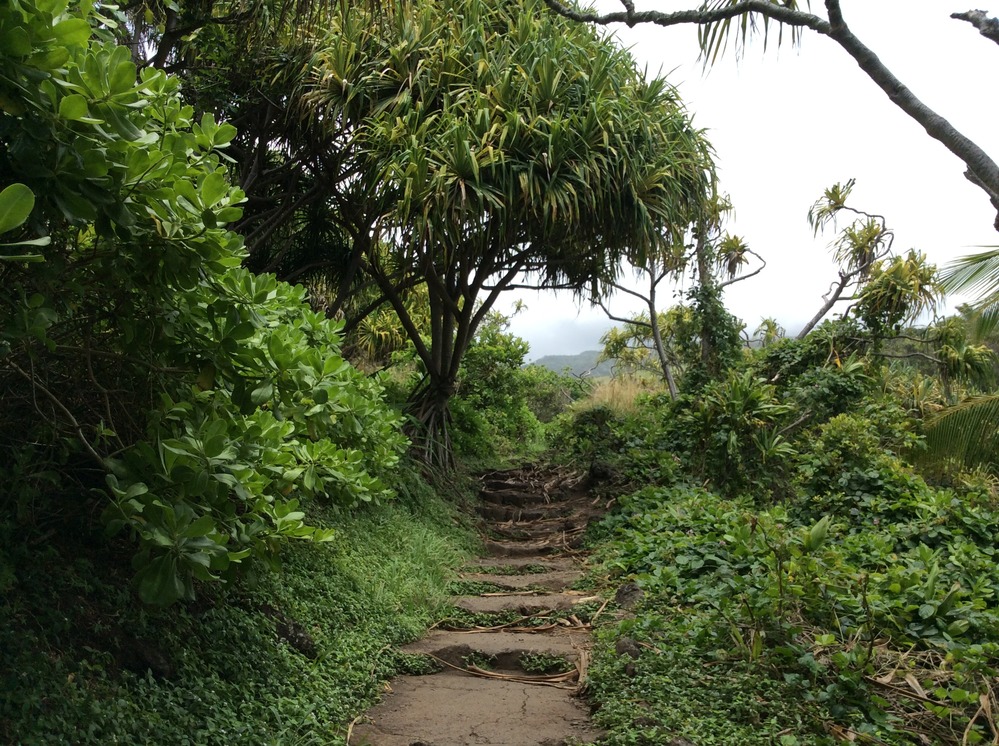 Stairs on trail