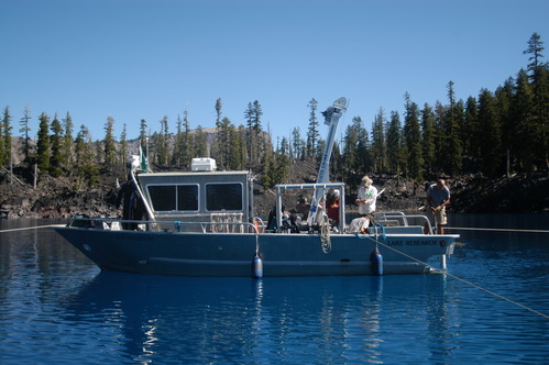 Aquatic moss collection and examination.