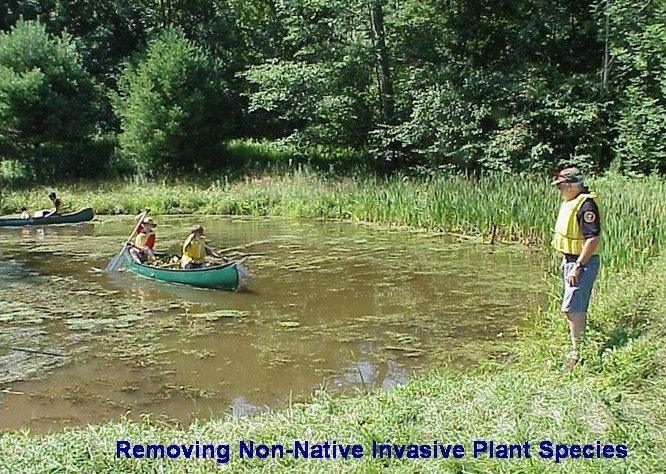 15a Removal of Non-Native Invasive Plant Species