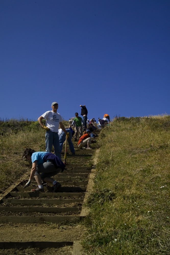 Volunteer at Mori Point work together to weed one of the staircases.