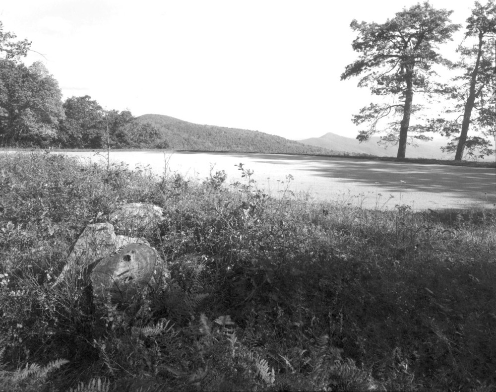 VA-119-83	DOYLES RIVER OVERLOOK, STUMP AND GRASS IN FOREGROUND. LOFT MOUNTAIN AND LITTLE FLAT MOUNTAIN IN BACKGROUND. LOOKING NORTHEAST, MILE 81.9.
