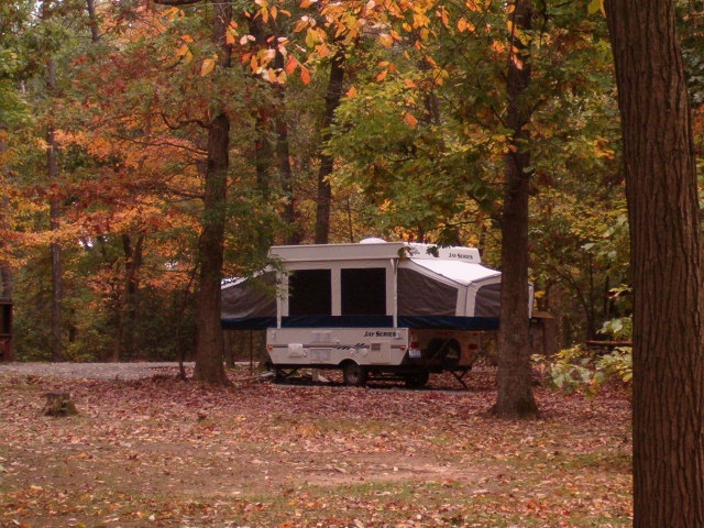 a picture of the leaves beginning to change in the campground