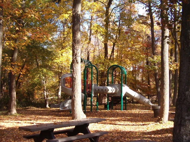 a picture of the Fall colors in the Sweetgum Picnic Area